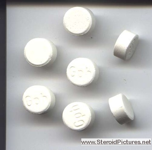 Anapolon steroid tablets