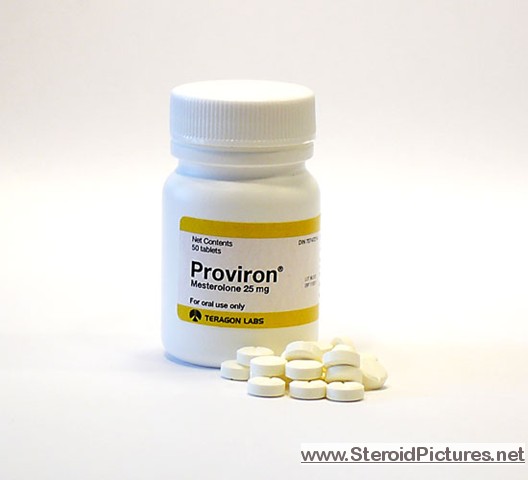 Proviron to possess muscle mass get Performance, Ill effects, And you will Dosage