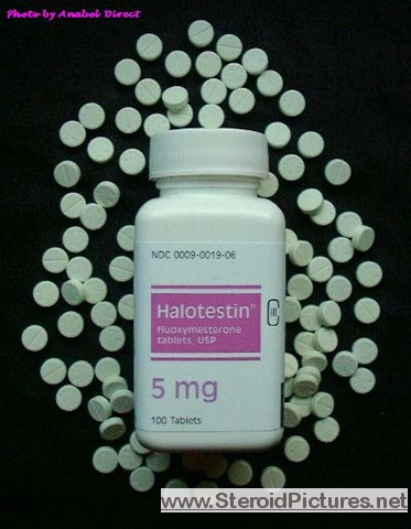Halotestin before workout routine
