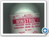 fake winstorl depot