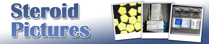 Steroid Pictures Header